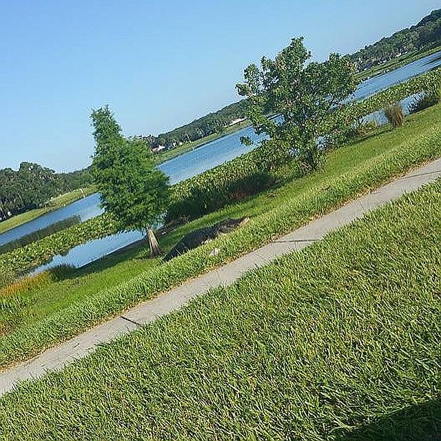 Our community lake