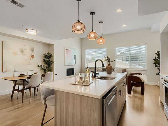 Kitchen / Living / Dining