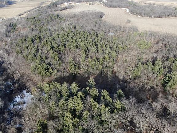 3rd image of W7113 Leigh Road