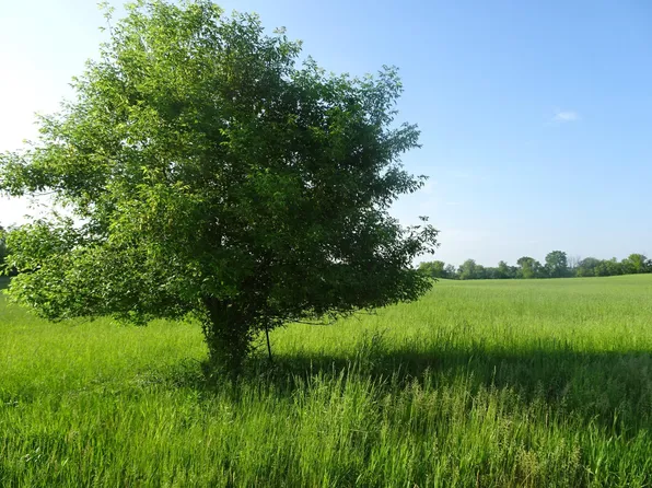 LOT 16 148th Ave, Balsam Lake, WI 54810