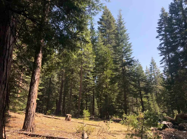 2-A-28 Summit Cir, McCloud, CA 96057