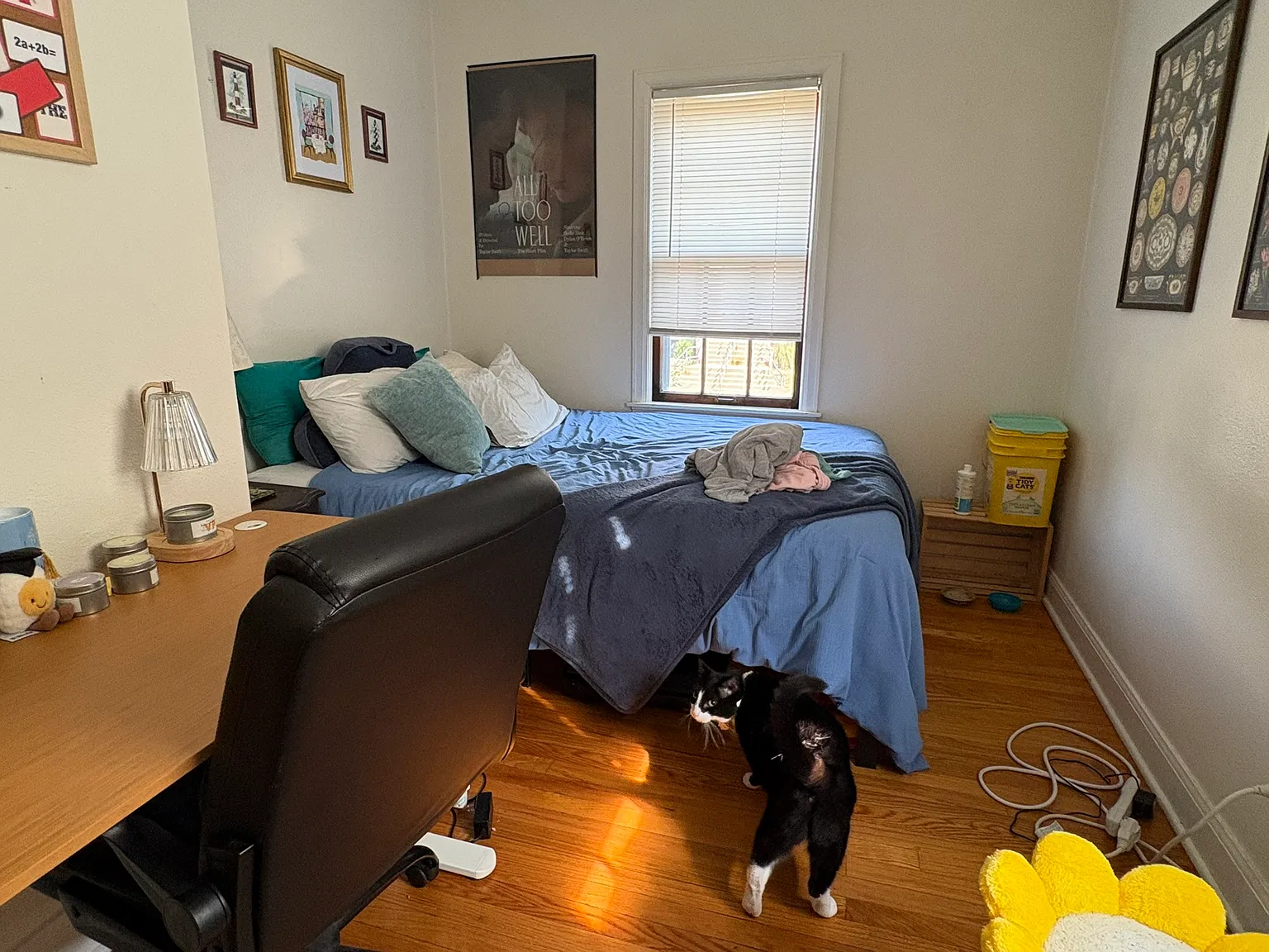 2 bed, 1511 sqft, $1,305 — Photo 4