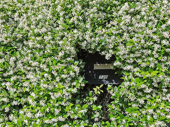 3rd image of 730 Antonine St