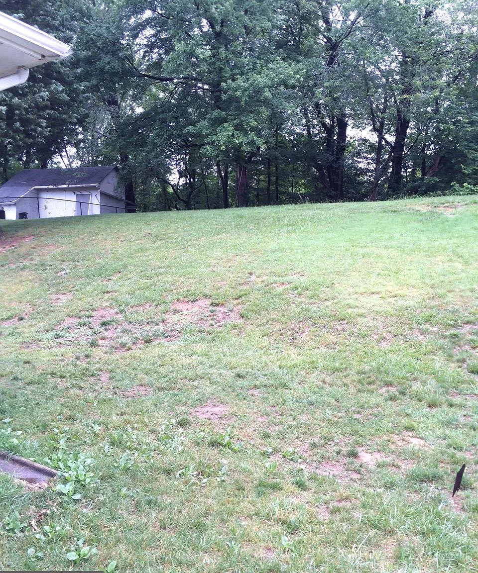 3 bed, 1.0 bath, 936 sqft, $2,295 — Photo 4