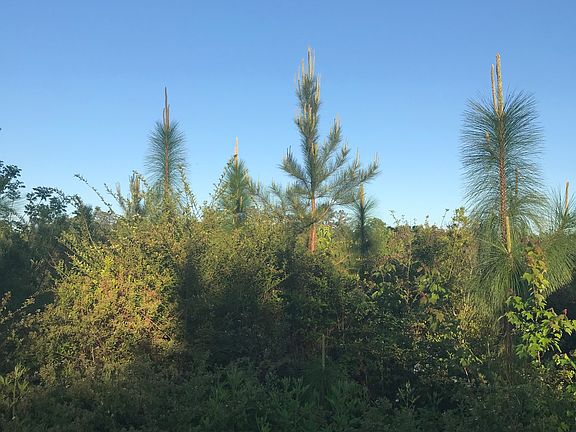 2nd image of Highway 11 N