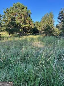 0 Cary Ln, Washington, GA, 30673