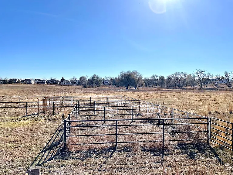 1733 Dancing Cattail Dr — Photo 27