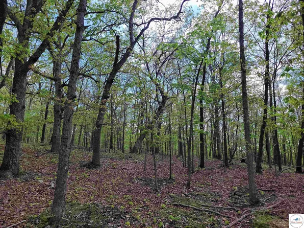 Lots 1144 Elliott Pl, Edwards, MO 65326