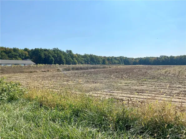 Langford Rd #1, North Collins, NY 14111