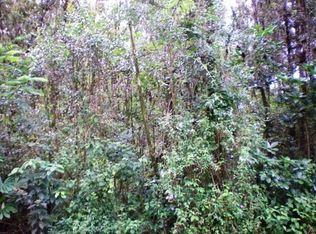 Pakalana Rd LOT 122, Pahoa, HI 96778