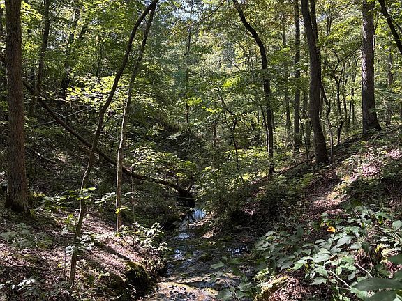3rd image of 000 County Road 114