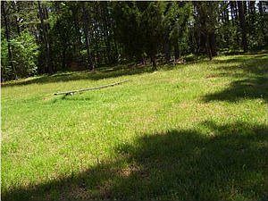 3rd image of 8465 Brown Meadow Ln