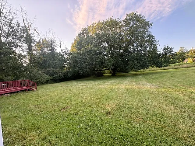 3 bed, 1.5 bath, 1558 sqft, $2,900 — Photo 4
