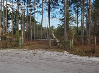 124 Be Thomas Rd, Nahunta, GA 31553