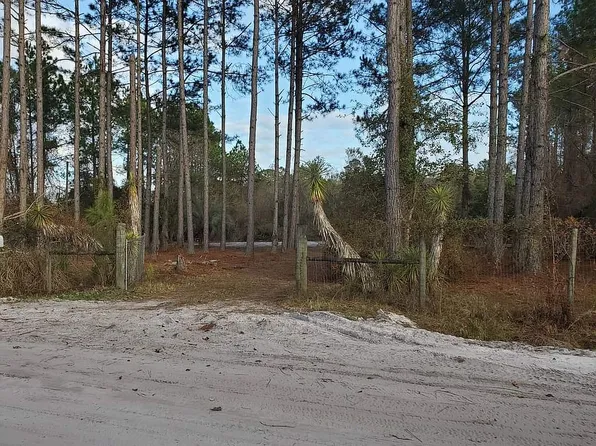 124 Be Thomas Rd, Nahunta, GA 31553