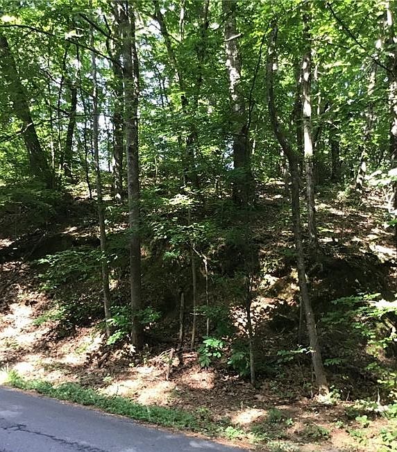 2nd image of 0 Oak Grove Dr