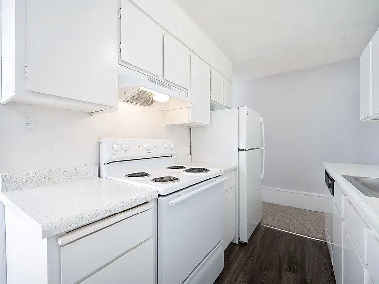 The Canopy | Kitchen