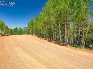 917 Princess Rd, Cripple Creek, CO 80813