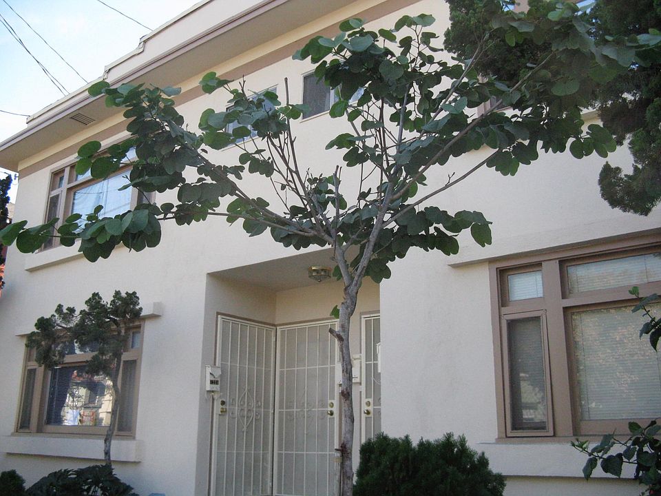 1st image of 1234 E Broadway
