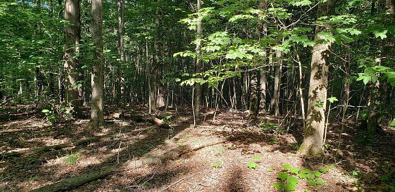3rd image of 00 SLY POND Road