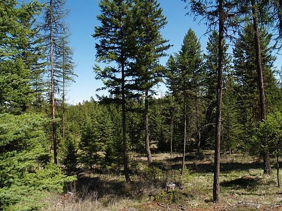 Great topography and close to Whitefish