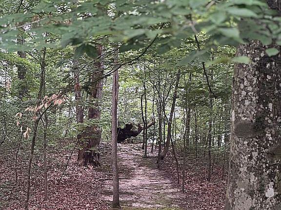 2nd image of 435 George Hardwick Rd