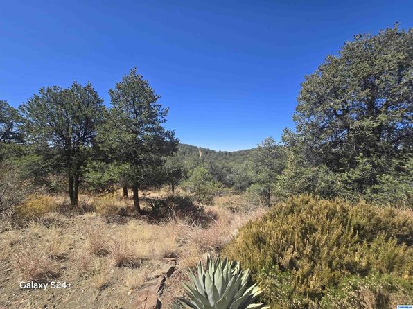 71 Gulch Ln, Silver City, NM 88061