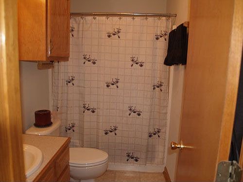 3rd image of 229 T Leigh Dr