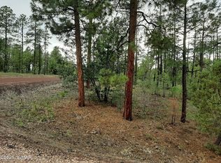 2850 S Richardson Ln, Lakeside, AZ 85929