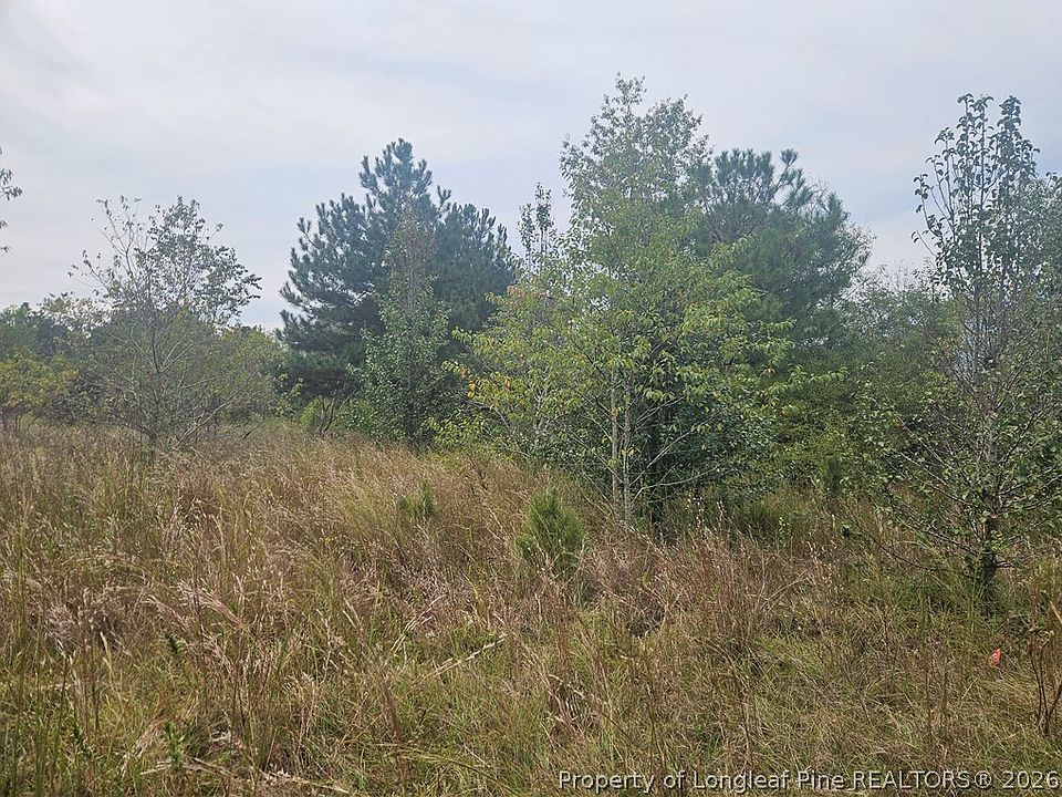2nd image of Shannon Rd