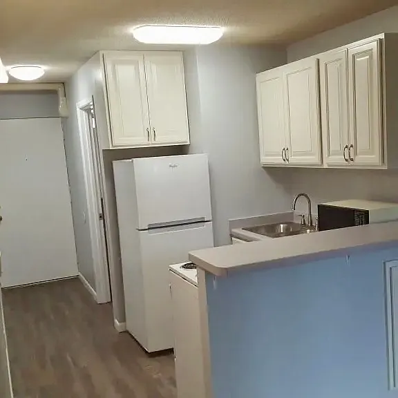 1004 West Springfield Avenue - Bailey 1BR — Photo 3