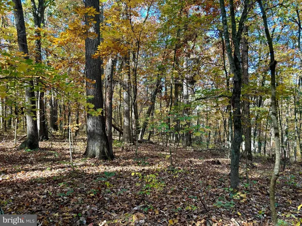 Tbd Smith Creek Rd, New Market, VA 22844