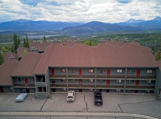 94300 Ryan Gulch Rd #94302, Silverthorne, CO 80498