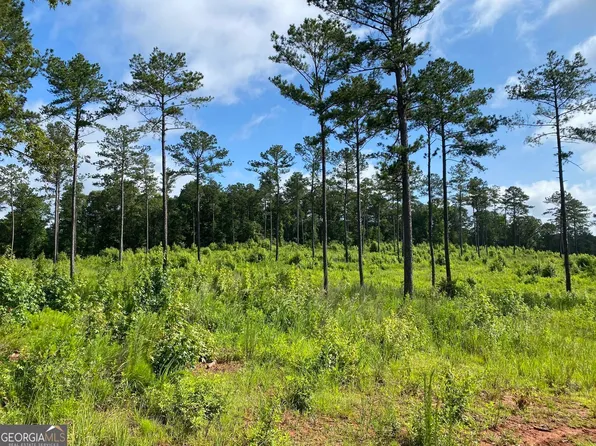 3 Giles Rd, Forsyth, GA 31029