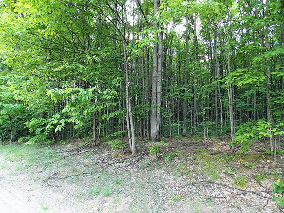 3rd image of Safari Trail 10 Acres