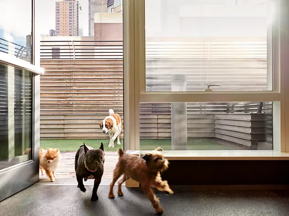 460 West 42nd Street image 22 of 30