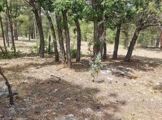 2232 Boulder Dr, Happy Jack, AZ 86024