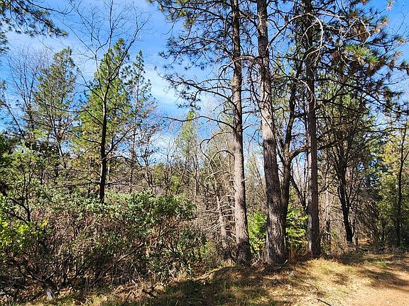 2nd image of Old School House Rd