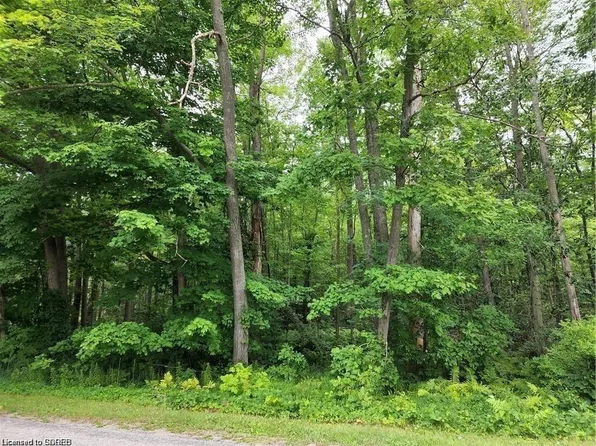 Point Lot 20-7, Concession Simcoe, ON N3Y 4K1