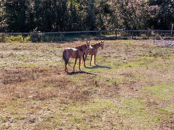 2nd image of 11560 Tarpon Springs Rd