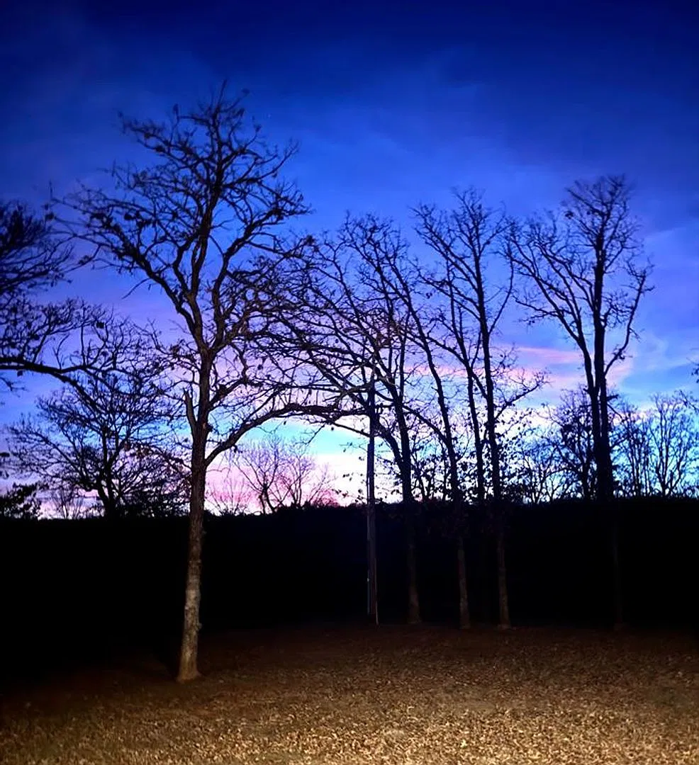 Live on a Beautiful 40 Acres! — Photo 3