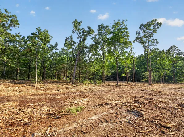 005 Cantrell Road, Mansfield, MO 65704