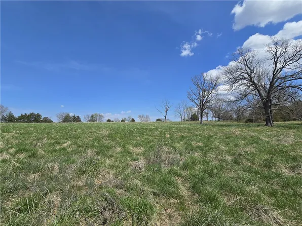 County Road 310, Berryville, AR 72616