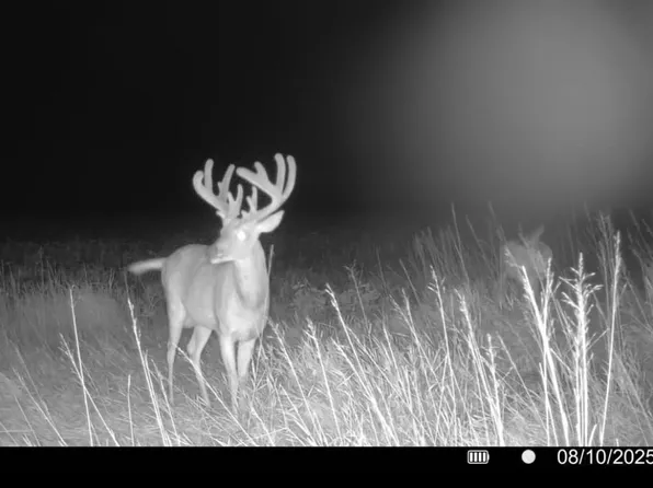 1900th Rd, Wilsey, KS 66873