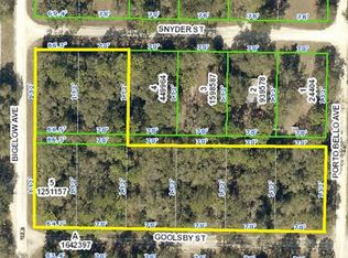 Snyder St, Webster, FL 33597