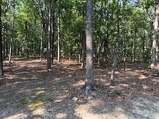 1st image of 5.0 Acres 24 Oak Court And Tracy Ann Ter