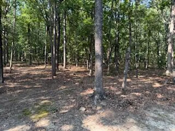 5.0 Acres 24 Oak Court And Tracy Ann Ter, Higden, AR 72067