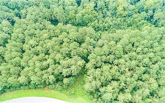 3rd image of 6113 Chimney Bluff Rd #5