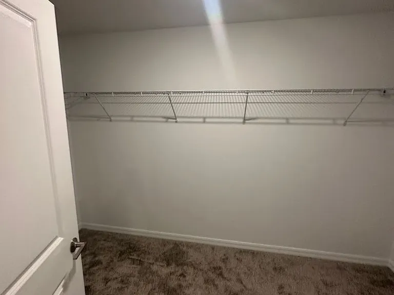 2262 Pigeon Plum Dr — Photo 23