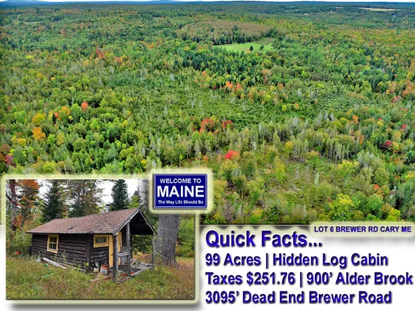 Lot 6 Brewer Road, Cary Plt, ME 04471